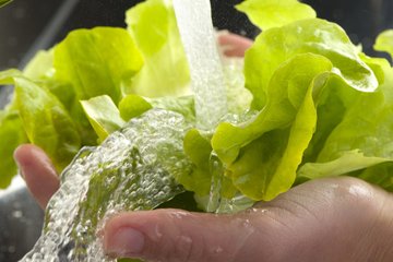 Washing Lettuce